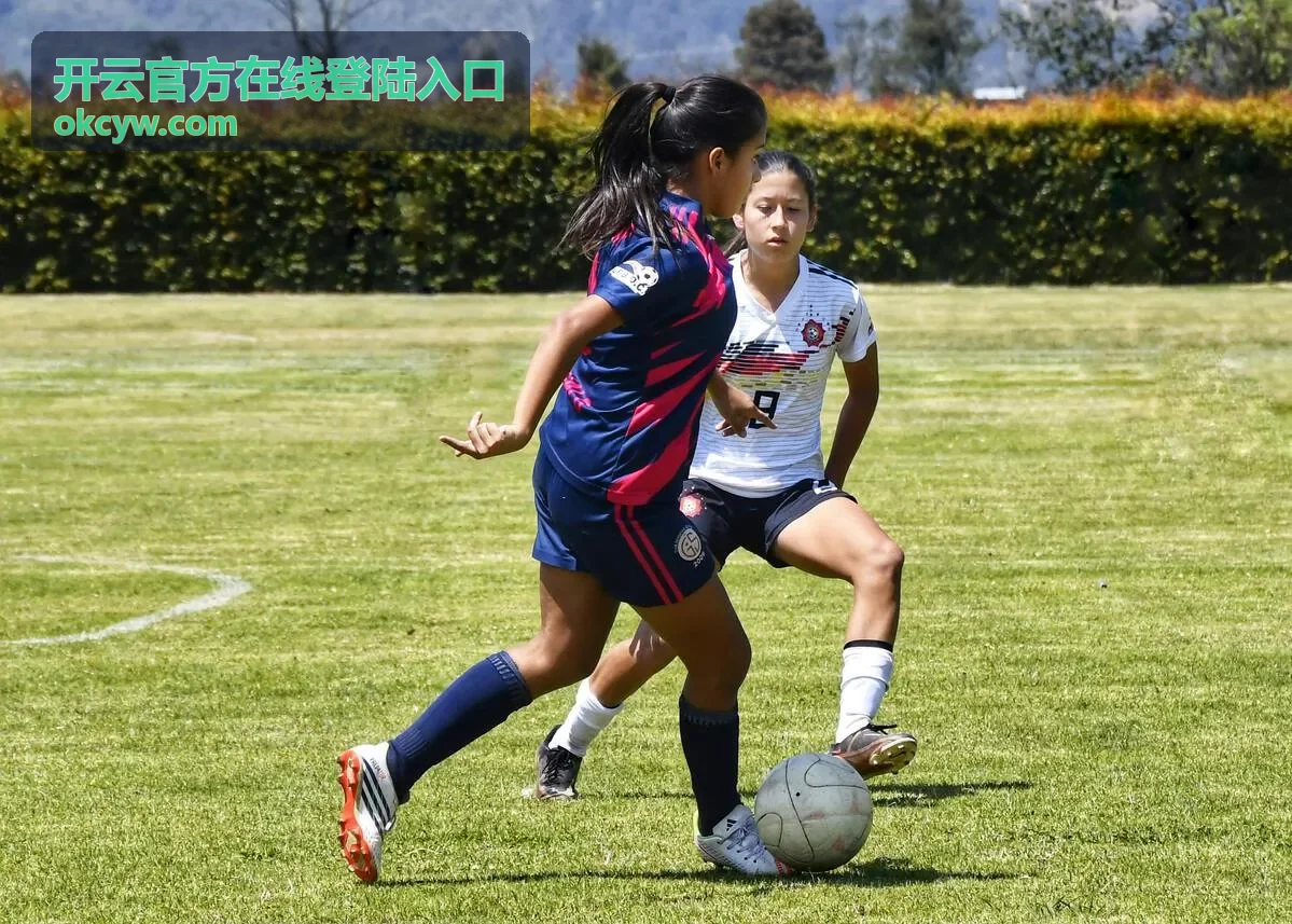 开云官方在线登陆入口账号安全核对要点示意
