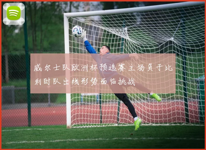 威尔士队欧洲杯预选赛主场负于比利时队出线形势面临挑战
