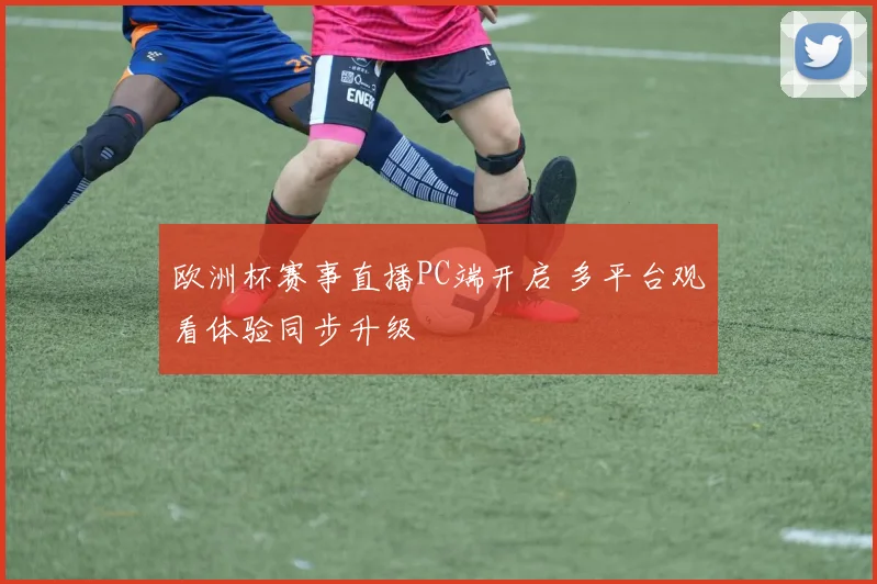欧洲杯赛事直播PC端开启 多平台观看体验同步升级
